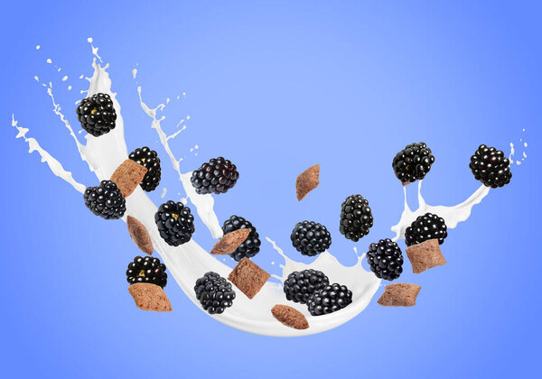 Splashing milk with sweet corn pads and fresh blackberries in air against blue background. Healthy breakfast