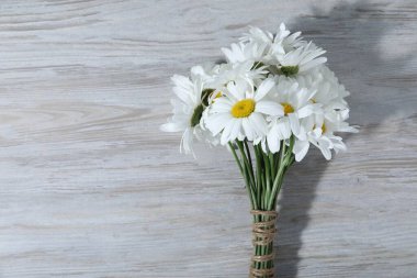 Gri ahşap masadaki güzel papatya çiçekleri, üst manzara. Metin için boşluk