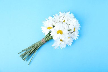 Açık mavi arka planda güzel papatya çiçekleri, üst manzara.