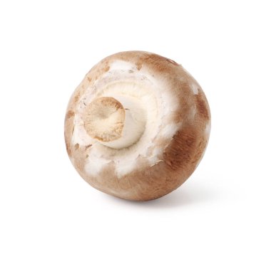 Beyaz tenli taze bir şampiyon.