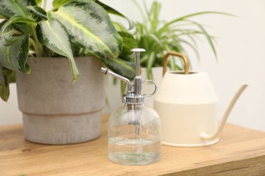 Püskürtme şişesi, sulama kutusu ve ahşap masa üzerindeki farklı bitkiler, yakın plan.