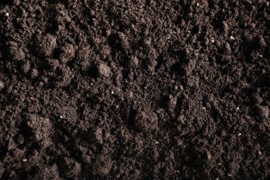 Arka plan olarak taze toprak, üst manzara. Organik madde