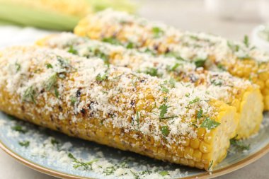 Maydanozlu ve peynirli mısır koçanları ışık masasında, yakın plan.