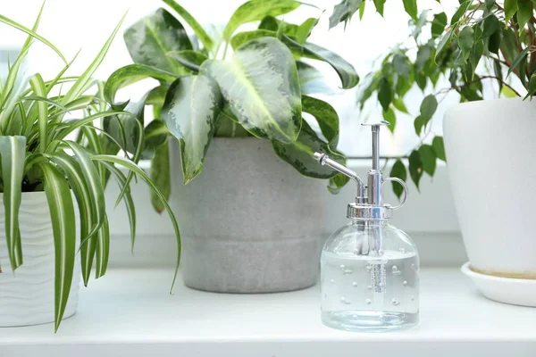 Püskürtme şişesi ve pencere eşiğindeki farklı bitkiler, yakın çekim.