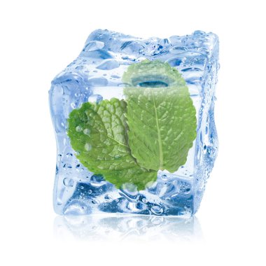 Beyaz zemin üzerinde temiz buz küpünün içindeki taze nane yaprakları