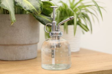 Püskürtme şişesi ve ahşap masa üzerindeki farklı bitkiler kapalı, yakın çekim