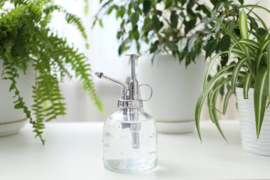 Püskürtme şişesi ve beyaz masa üzerindeki farklı bitkiler kapalı, yakın çekim