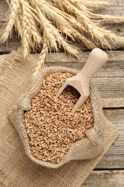 Çuval bezi torbasında buğday taneleri, tahta masada kepçeler ve çiviler.