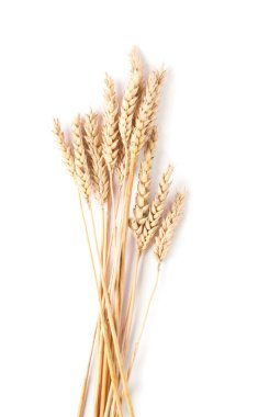 Birçok kuru buğday kulağı beyaz, üst görünümde izole