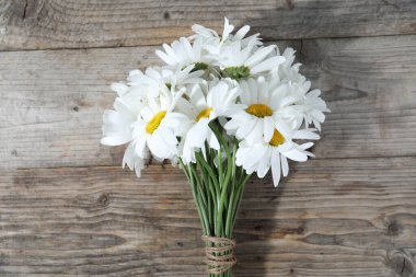 Tahta masanın üstünde, güzel papatya çiçekleri.