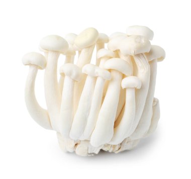 Beyaz üzerinde izole edilmiş taze shimeji mantarları kümesi