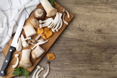 Farklı çiğ mantarlar, maydanoz ve tahta masa üzerinde bıçak, düz yatak. Metin için boşluk