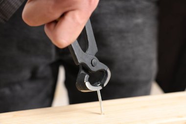 Kapalı alanda kıskacı olan tahta çiviyi söken adam, yakın plan.