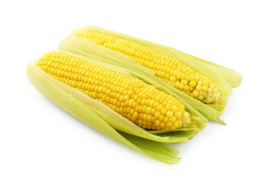 İki lezzetli haşlanmış mısır koçanı beyaza izole edilmiş.