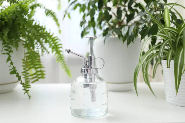 Püskürtme şişesi ve beyaz masa üzerindeki farklı bitkiler kapalı, yakın çekim