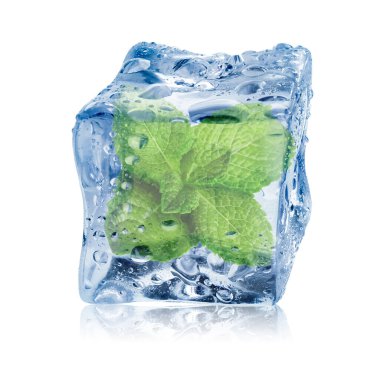 Beyaz zemin üzerinde temiz buz küpünün içindeki taze nane yaprakları