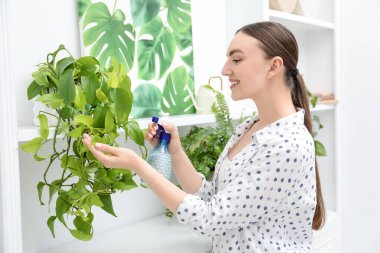 Genç bir kadın, güzel çiçekleri kapalı alandaki şişelerden su püskürtüyor.