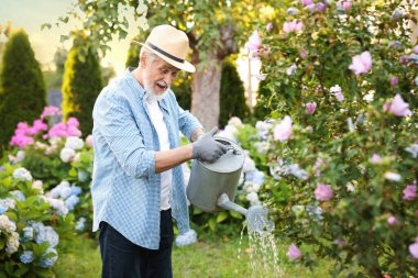 Şapkalı yaşlı adam bahçedeki güzel çiçekleri teneke kutuyla suluyor.