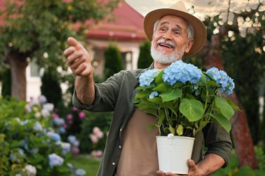 Bahçesinde saksı çiçekleri olan şapkalı yaşlı bir adam.