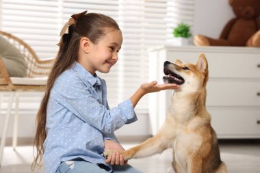 Evde köpeğiyle birlikte gülümseyen küçük bir kız. Çocuk ve hayvan