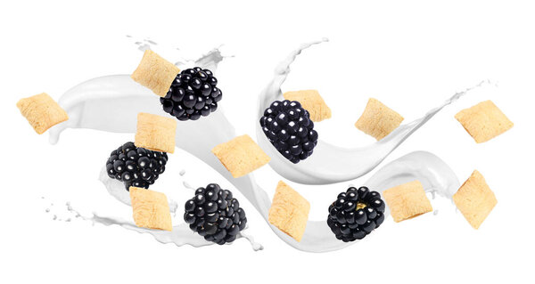 Splashing milk with sweet corn pads and fresh blackberries in air against white background. Healthy breakfast