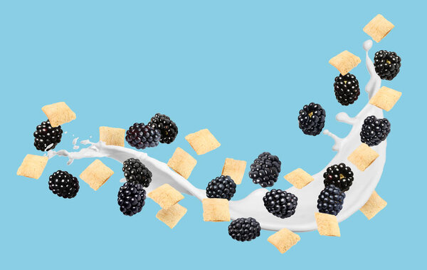 Splashing milk with sweet corn pads and fresh blackberries in air against light blue background. Healthy breakfast