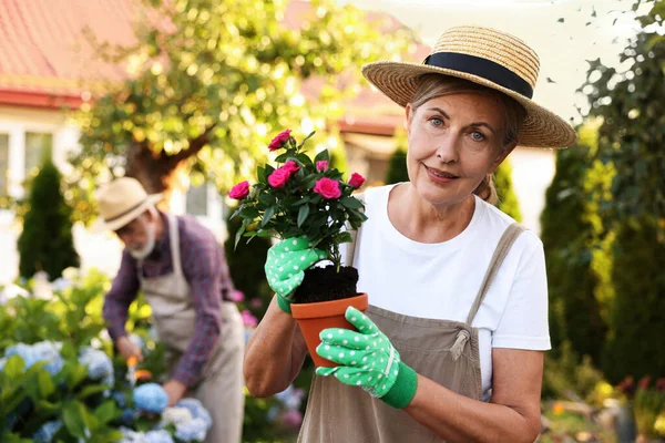 Bahçedeki bitkilerle çalışan şapkalı yaşlı çift, seçici odaklı.