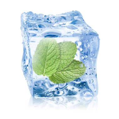 Beyaz zemin üzerinde temiz buz küpünün içindeki taze nane yaprakları