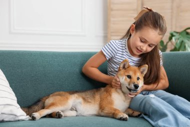 Evdeki kanepede köpeği olan sevimli küçük bir kız. Çocuk ve hayvan