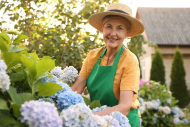 Bahçede çiçekli şapka ve önlüklü gülümseyen yaşlı kadın portresi.