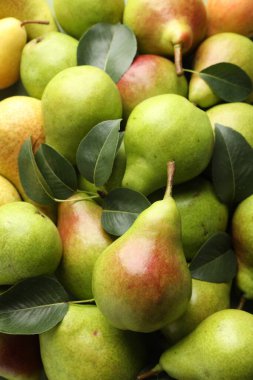 Birçok olgun armut arka plan olarak, yakın plan