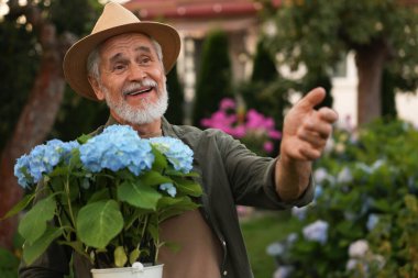 Bahçesinde saksı çiçekleri olan şapkalı yaşlı bir adam.