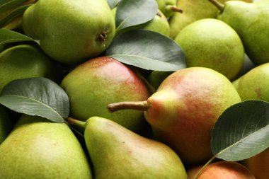 Birçok olgun armut arka plan olarak, yakın plan