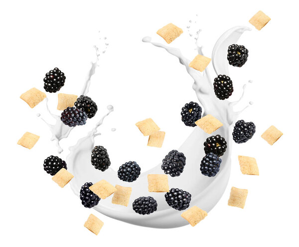 Splashing milk with sweet corn pads and fresh blackberries in air against white background. Healthy breakfast