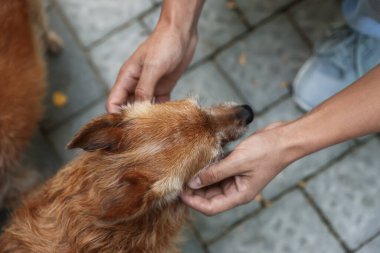 Dışarıdaki sevimli köpeğiyle bir adam, yakın plan.
