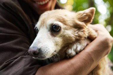 Sevimli köpeğini dışarıda tutan adam, yakın plan.
