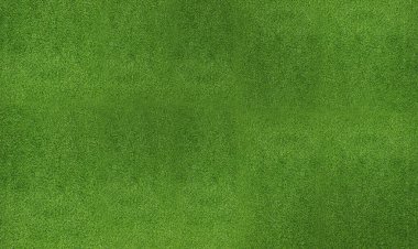 Arka plan olarak taze yeşil çimen. Pankart tasarımı