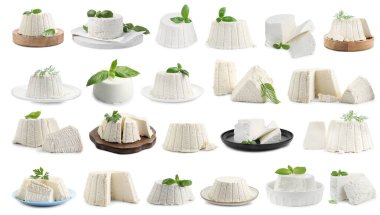 Beyaz üzerine izole edilmiş lezzetli ricotta peyniri, kolaj.