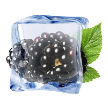 Buz küpündeki taze böğürtlenler beyaza izole edilmiş.