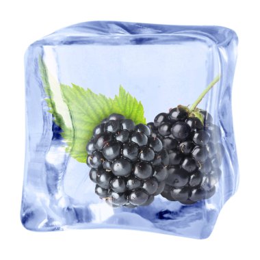 Buz küpündeki taze böğürtlenler beyaza izole edilmiş.