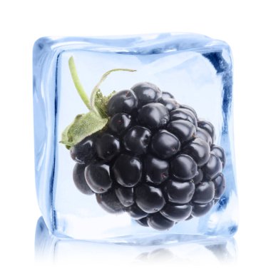 Buz küpündeki taze böğürtlen beyaza izole edilmiş.