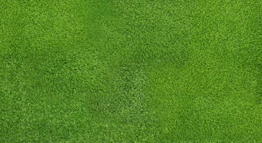 Arka plan olarak taze yeşil çimen. Pankart tasarımı