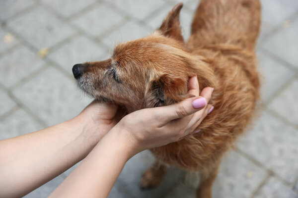 Женщина со своей милой собакой на улице, крупным планом