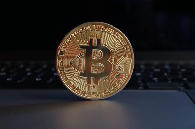 Kripto para birimi. Dizüstü bilgisayarda altın bitcoin, yakın plan görünüm