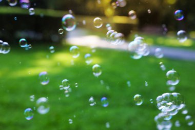 Parkta yüzen şeffaf sabun köpükleri