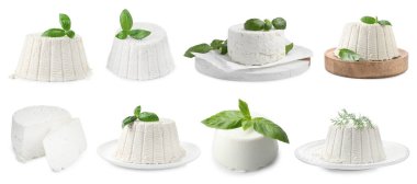 Beyaz üzerine izole edilmiş lezzetli ricotta peyniri, kolaj.