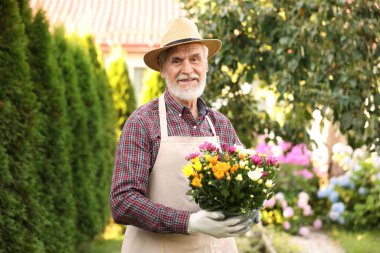 Bahçesinde saksı çiçekleri olan şapkalı yaşlı adamın portresi.