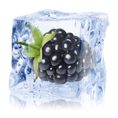 Buz küpündeki taze böğürtlen beyaza izole edilmiş.