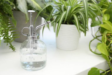 Püskürtme şişesi ve pencere pervazındaki farklı bitkiler, yakın çekim. Metin için boşluk