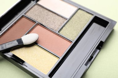 Göz farı paleti ve aplikatör açık yeşil arka planda, yakın plan. Makyaj kozmetikleri